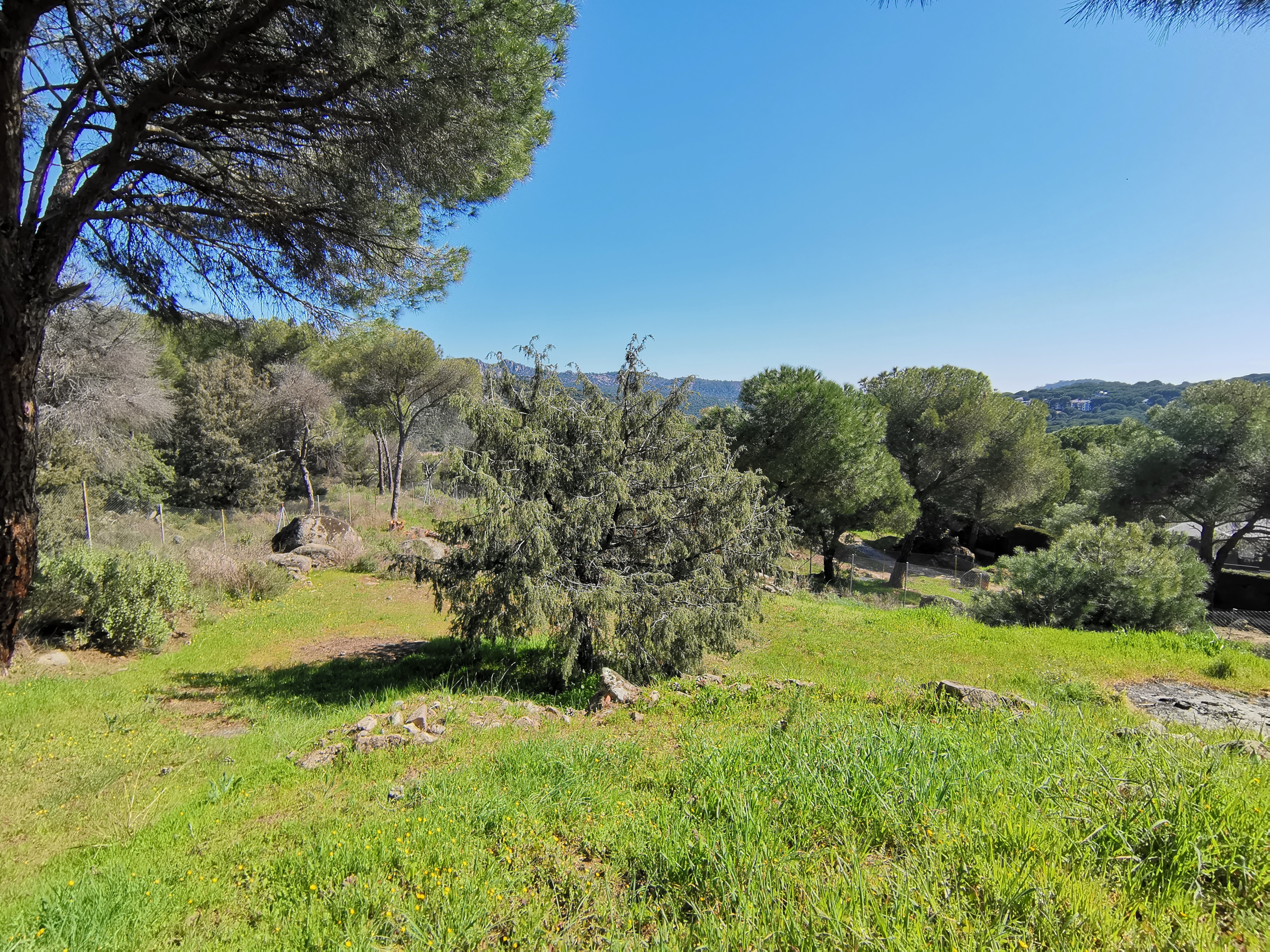 jardin-silvestre-embalse-de-san-juan-verde-vistas-hermosas