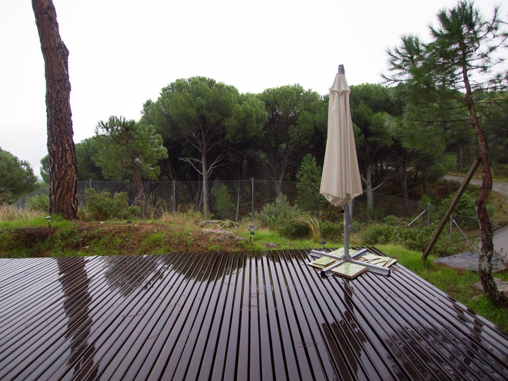 terraza en el bosque virgen del pantano de San Juan